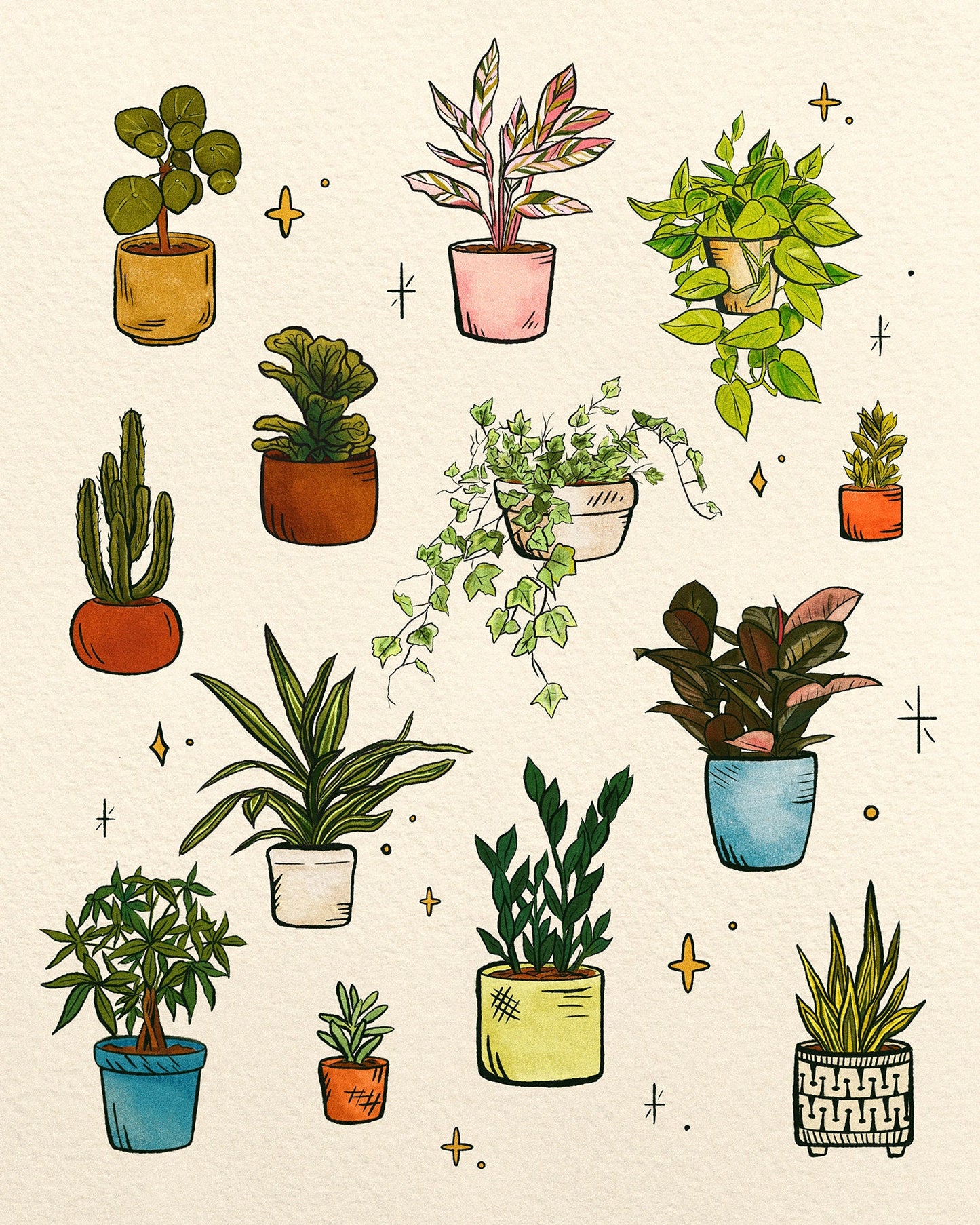 House Plants | 8x10 Print