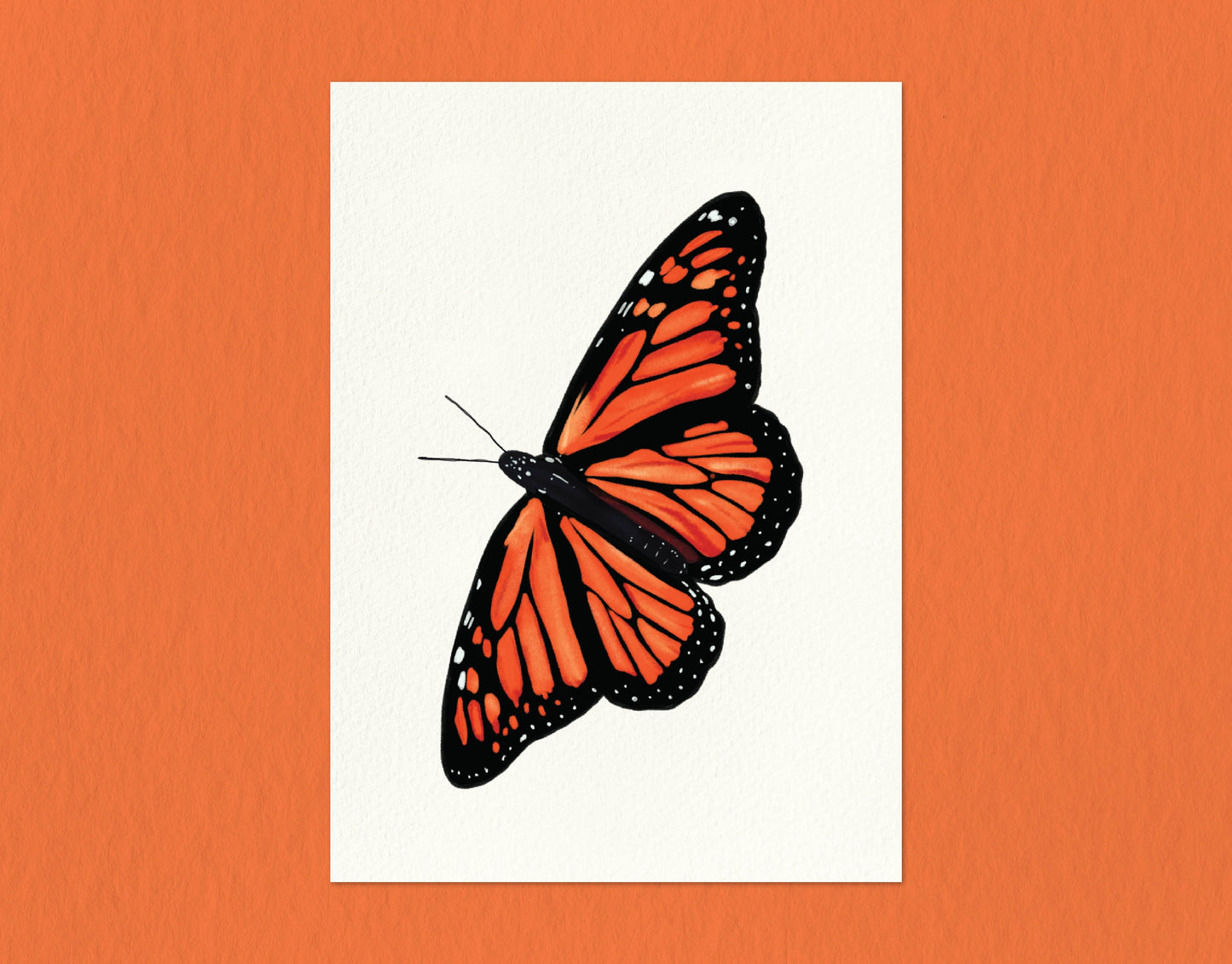 Monarch | 5x7 Print