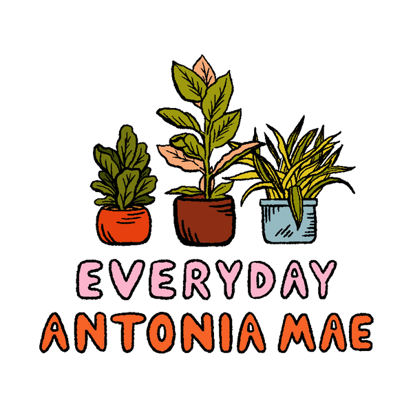 Everyday Antonia Mae