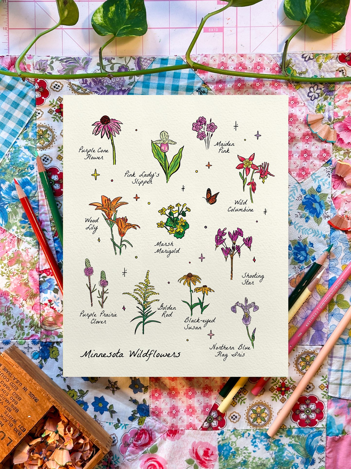 Minnesota Wildflowers | 8x10 Print