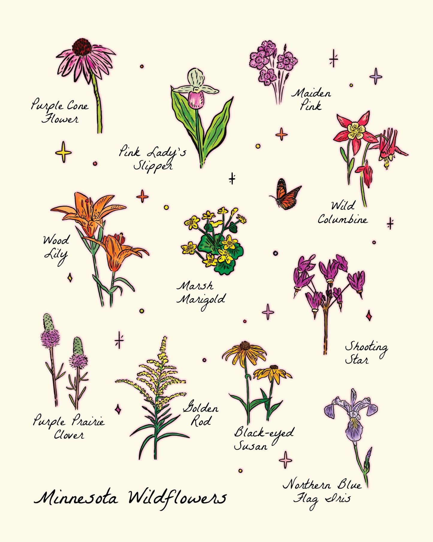 Minnesota Wildflowers | 8x10 Print