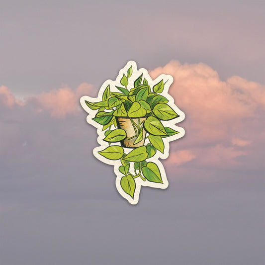 Pothos Plant Sticker