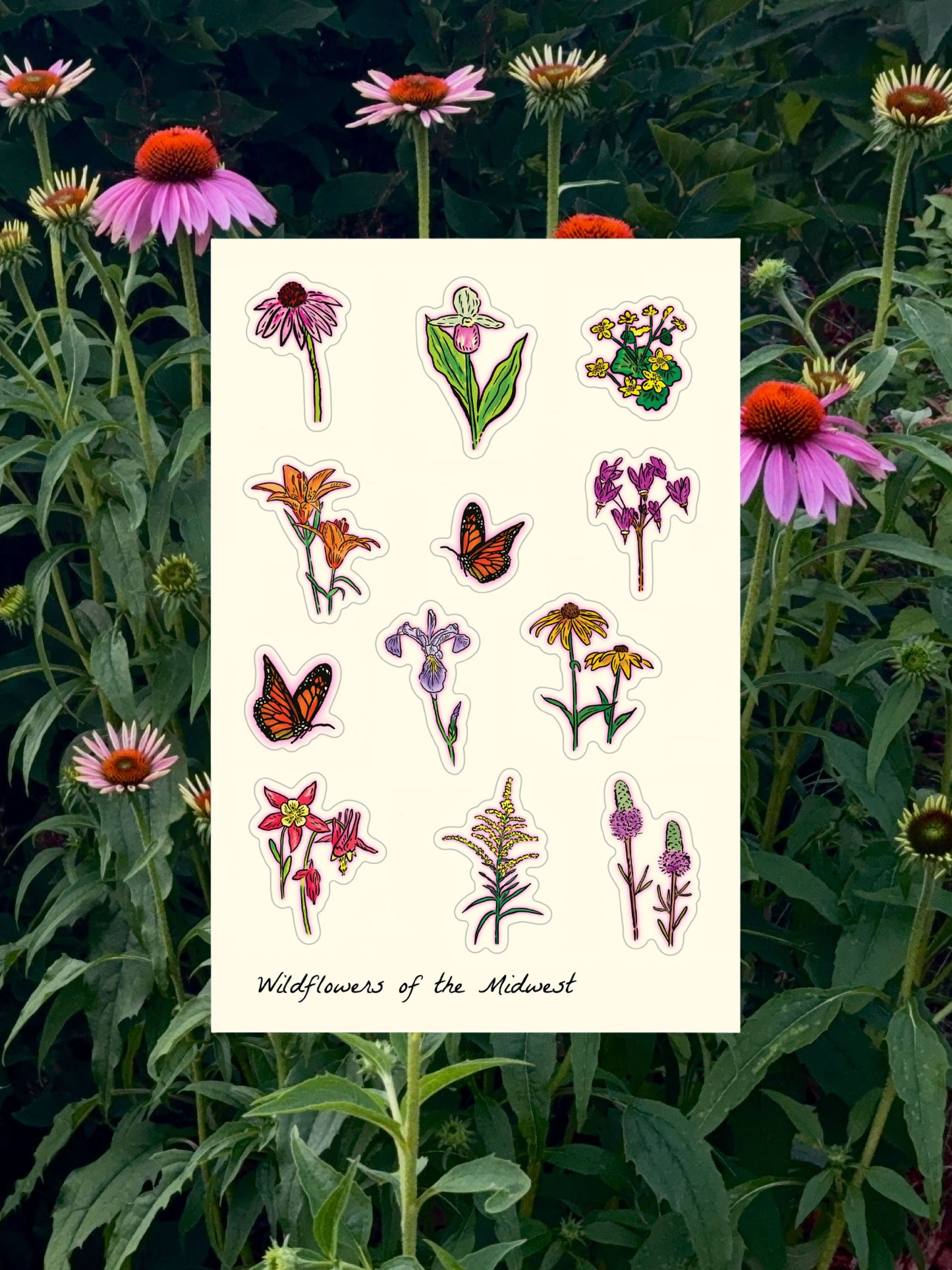 Wildflowers of the Midwest | Sticker Sheet