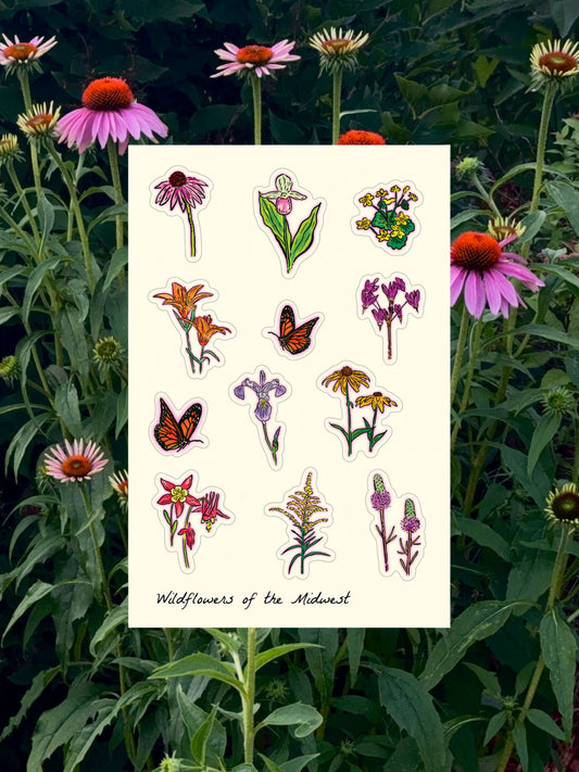 Wildflowers of the Midwest | Sticker Sheet