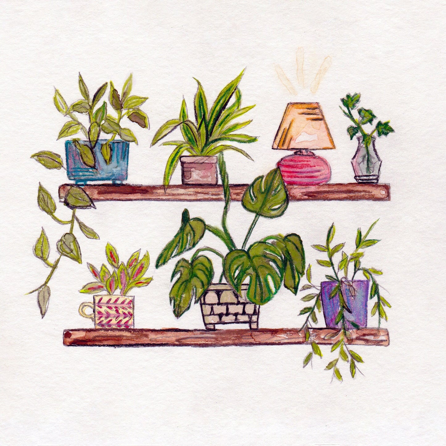 Plant Shelves | Digital Drawing | 8x8 Print