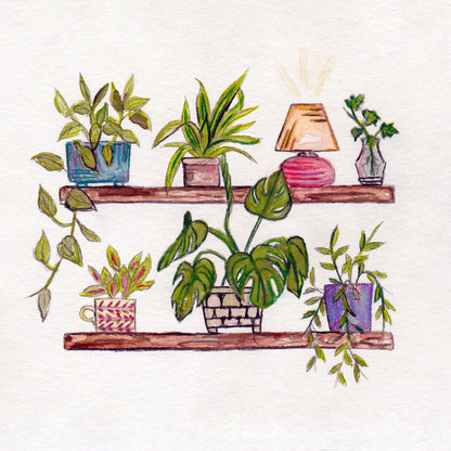 Plant Shelves | 8x8 Print