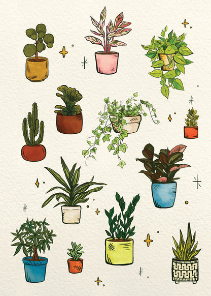 House Plants | 5x7 Print