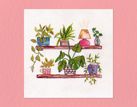 Plant Shelves | Digital Drawing | 8x8 Print